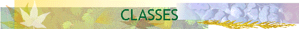 CLASSES