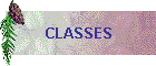 CLASSES